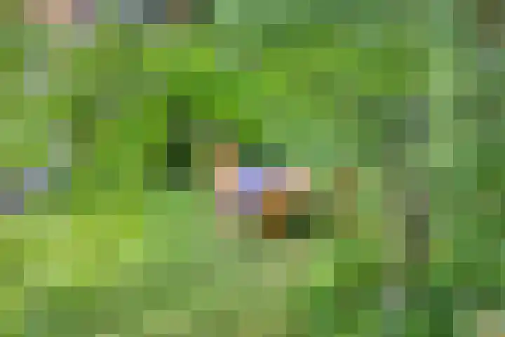 Tesselschadelaan 20 Hilversum thumbnail 43