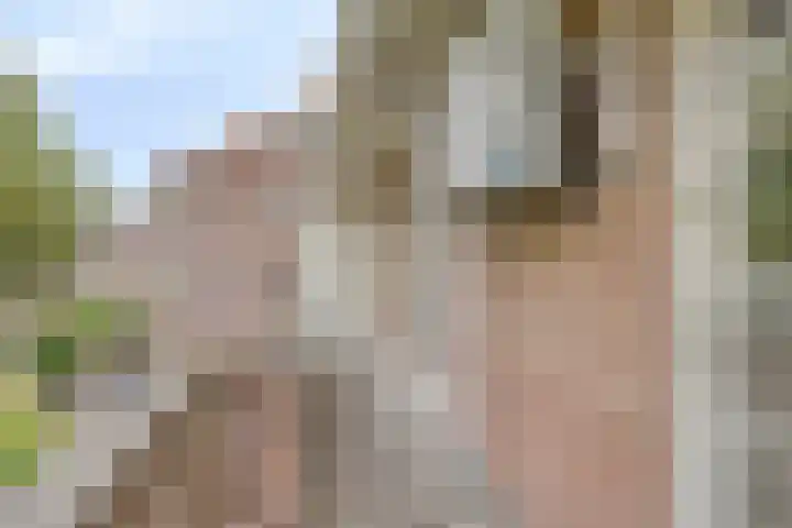 Tesselschadelaan 20 Hilversum thumbnail 51