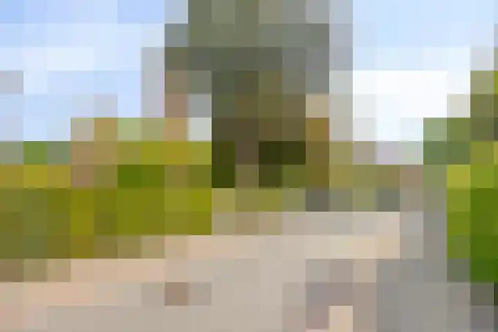 Tesselschadelaan 20 Hilversum thumbnail 52