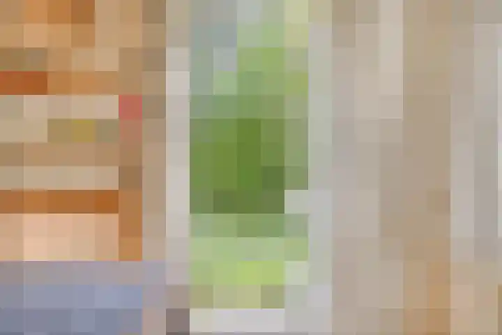 Tesselschadelaan 20 Hilversum thumbnail 7