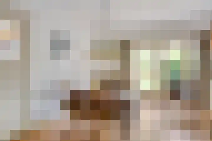Tesselschadelaan 20 Hilversum thumbnail 9