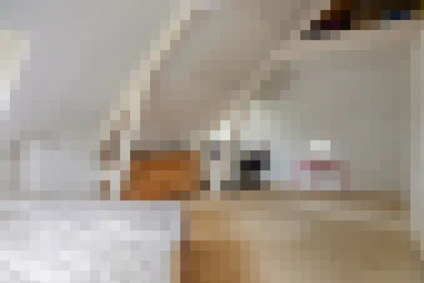 Tesselschadelaan 21 A Hilversum thumbnail 26