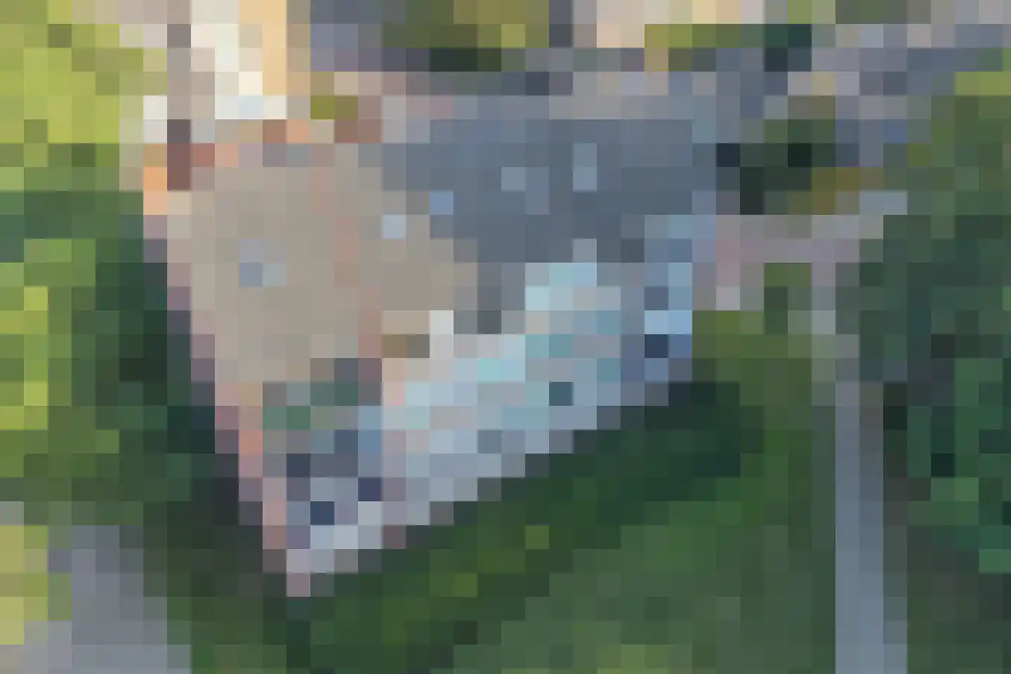 Tesselschadelaan 24 Uithoorn thumbnail 28
