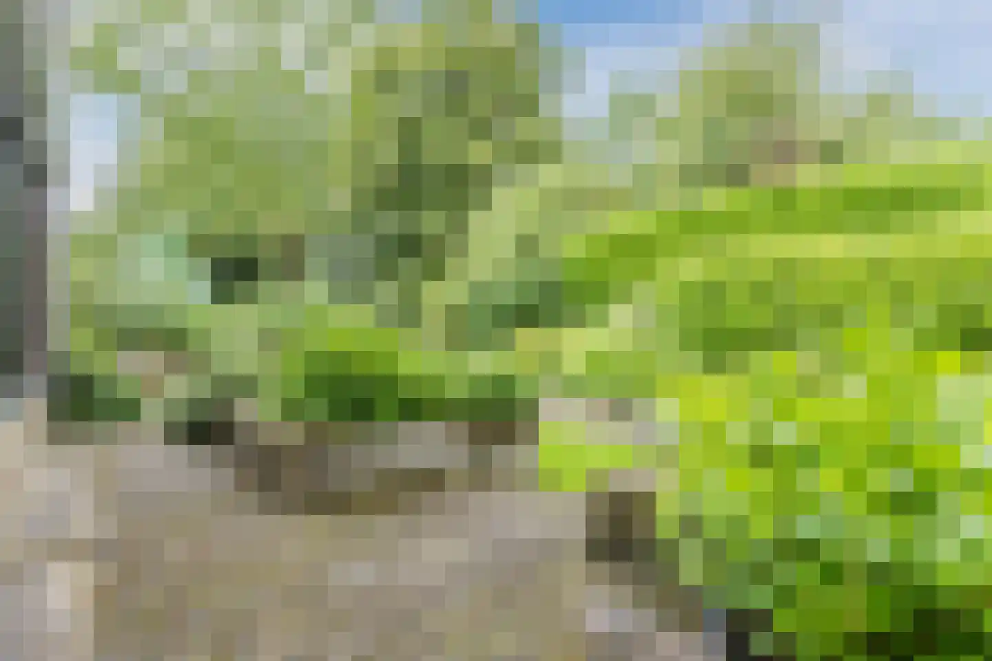 Tesselschadelaan 28 Uithoorn thumbnail 18