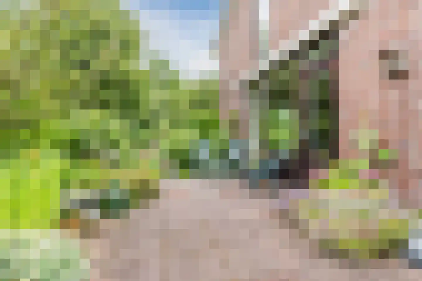 Tesselschadelaan 28 Uithoorn thumbnail 19