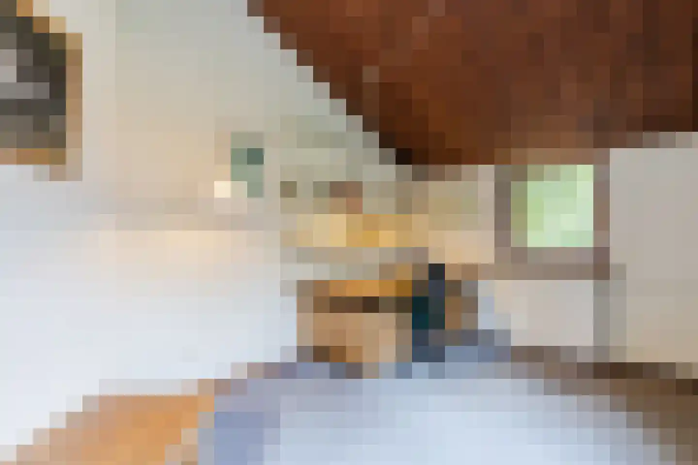 Tesselschadelaan 28 Uithoorn thumbnail 31