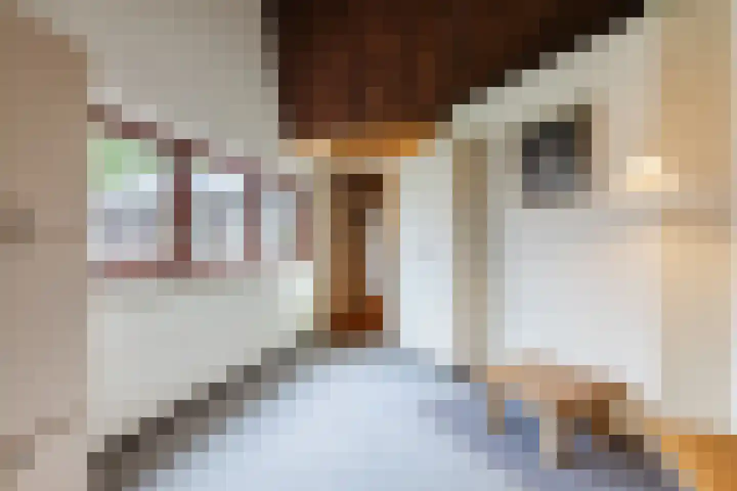 Tesselschadelaan 28 Uithoorn thumbnail 32