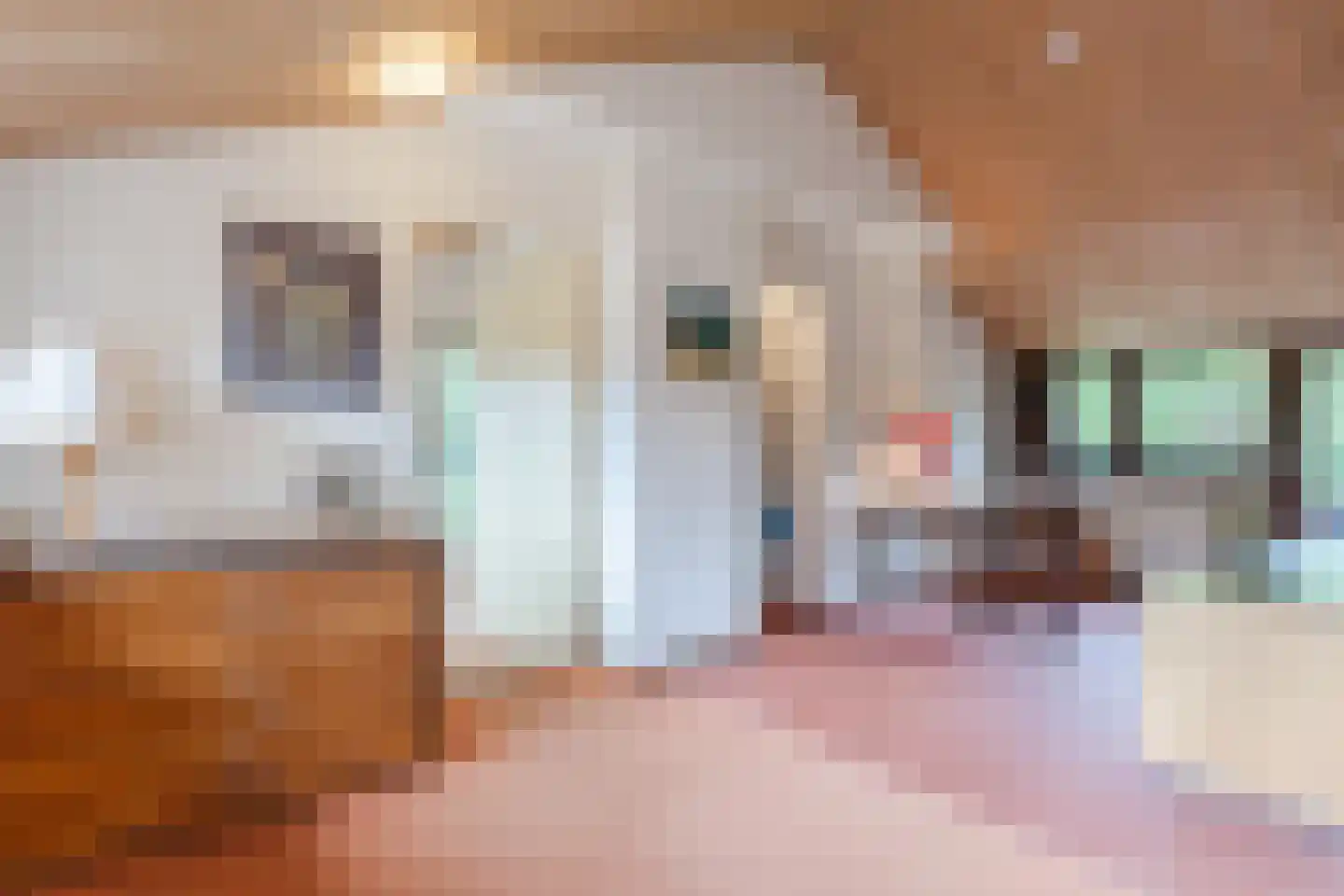 Tesselschadelaan 28 Uithoorn thumbnail 34
