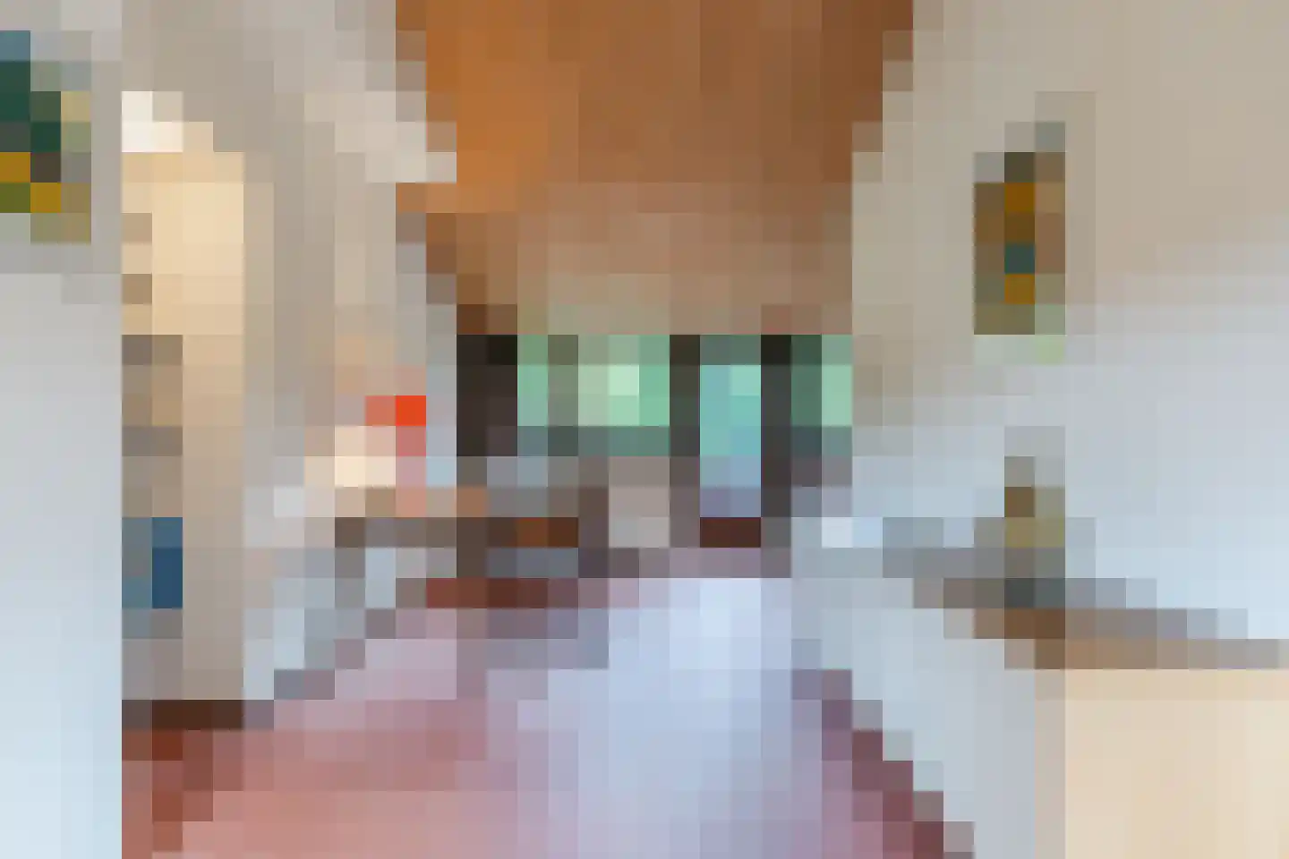 Tesselschadelaan 28 Uithoorn thumbnail 35