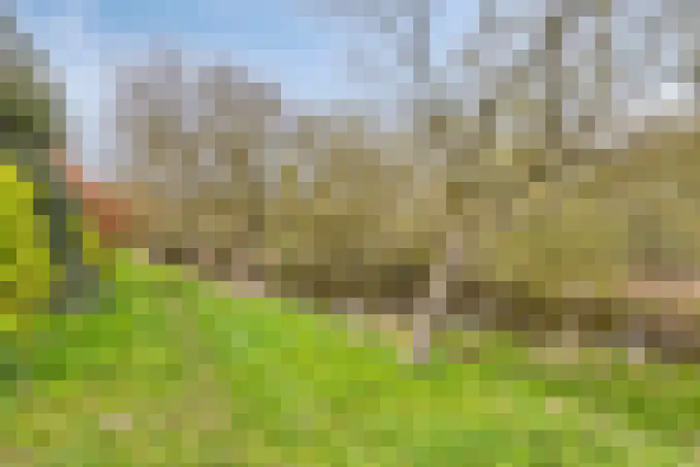 Tesselschadelaan 29 Roosendaal thumbnail 33
