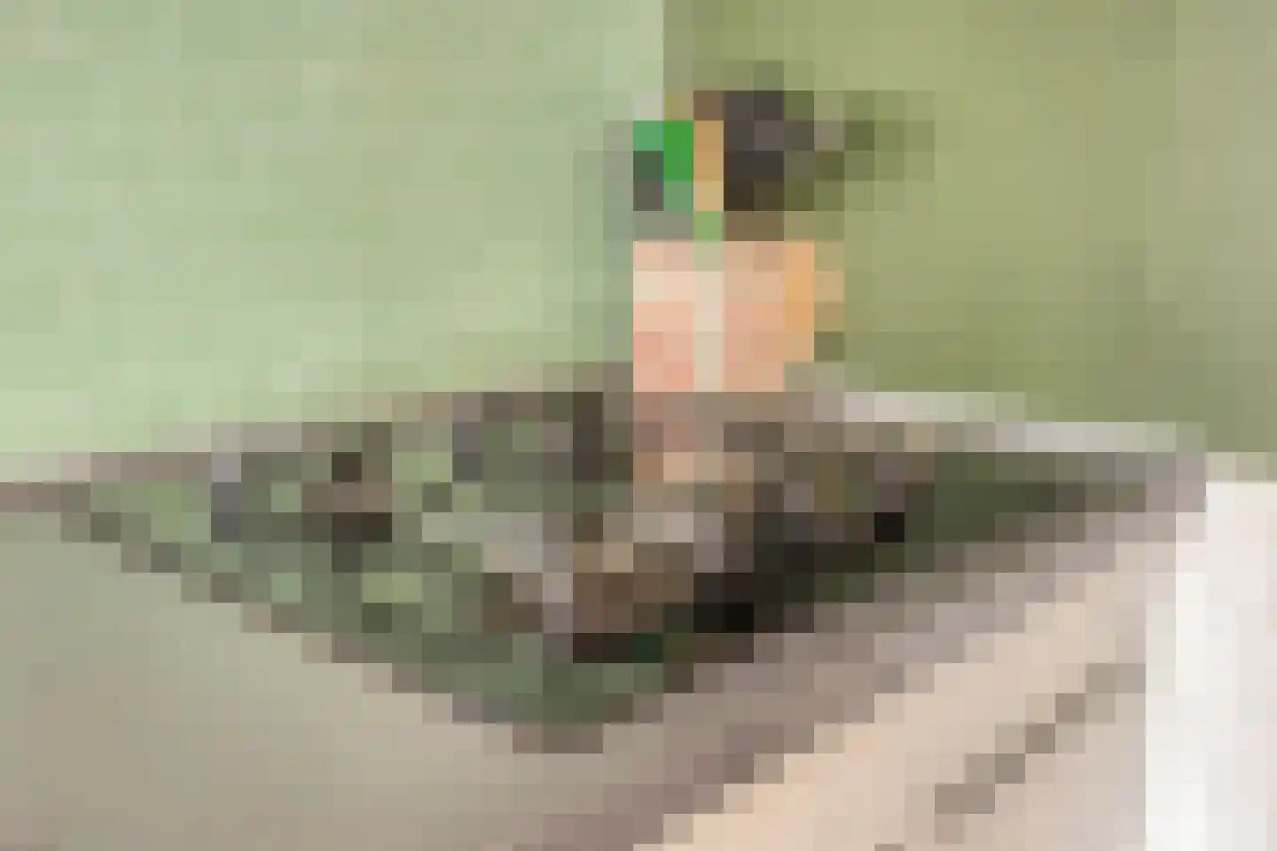 Tesselschadelaan 29 Roosendaal thumbnail 9