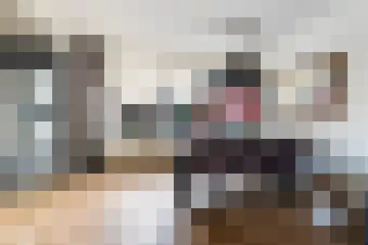 Tesselschadelaan 3 Apeldoorn thumbnail 11