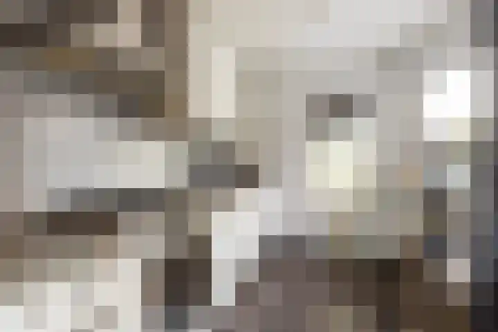 Tesselschadelaan 3 Apeldoorn thumbnail 13