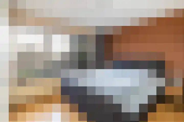 Tesselschadelaan 3 Apeldoorn thumbnail 17