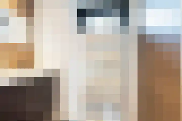 Tesselschadelaan 3 Apeldoorn thumbnail 21