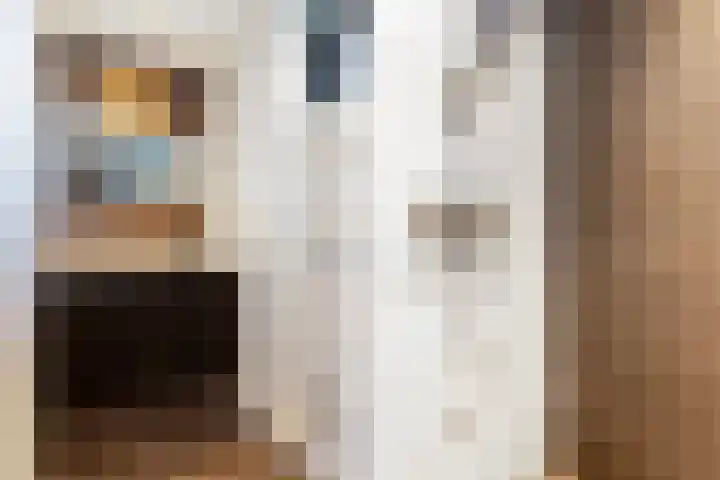 Tesselschadelaan 3 Apeldoorn thumbnail 22