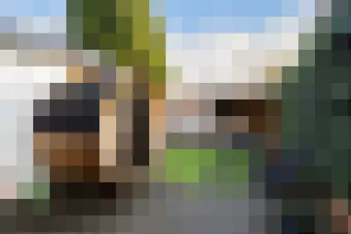 Tesselschadelaan 3 Apeldoorn thumbnail 24