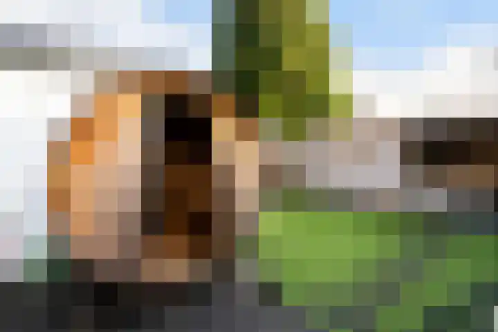 Tesselschadelaan 3 Apeldoorn thumbnail 26