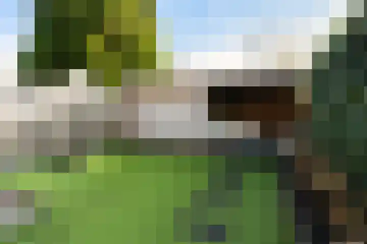 Tesselschadelaan 3 Apeldoorn thumbnail 27