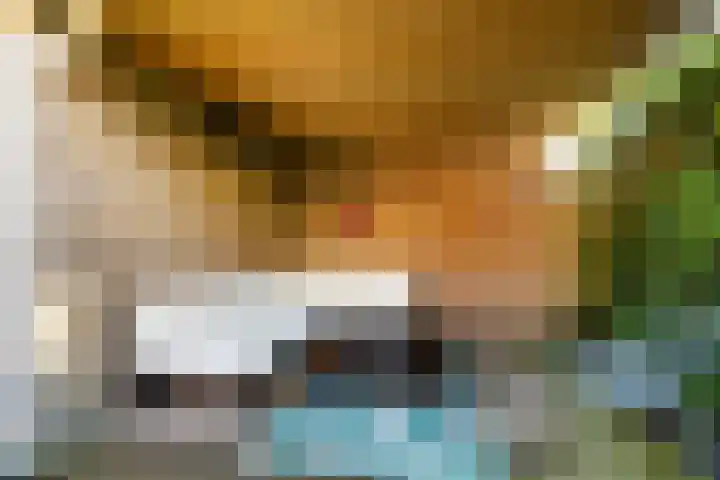 Tesselschadelaan 3 Apeldoorn thumbnail 28