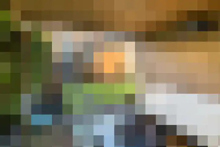 Tesselschadelaan 3 Apeldoorn thumbnail 29