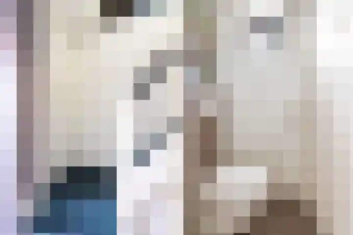 Tesselschadelaan 3 Apeldoorn thumbnail 4
