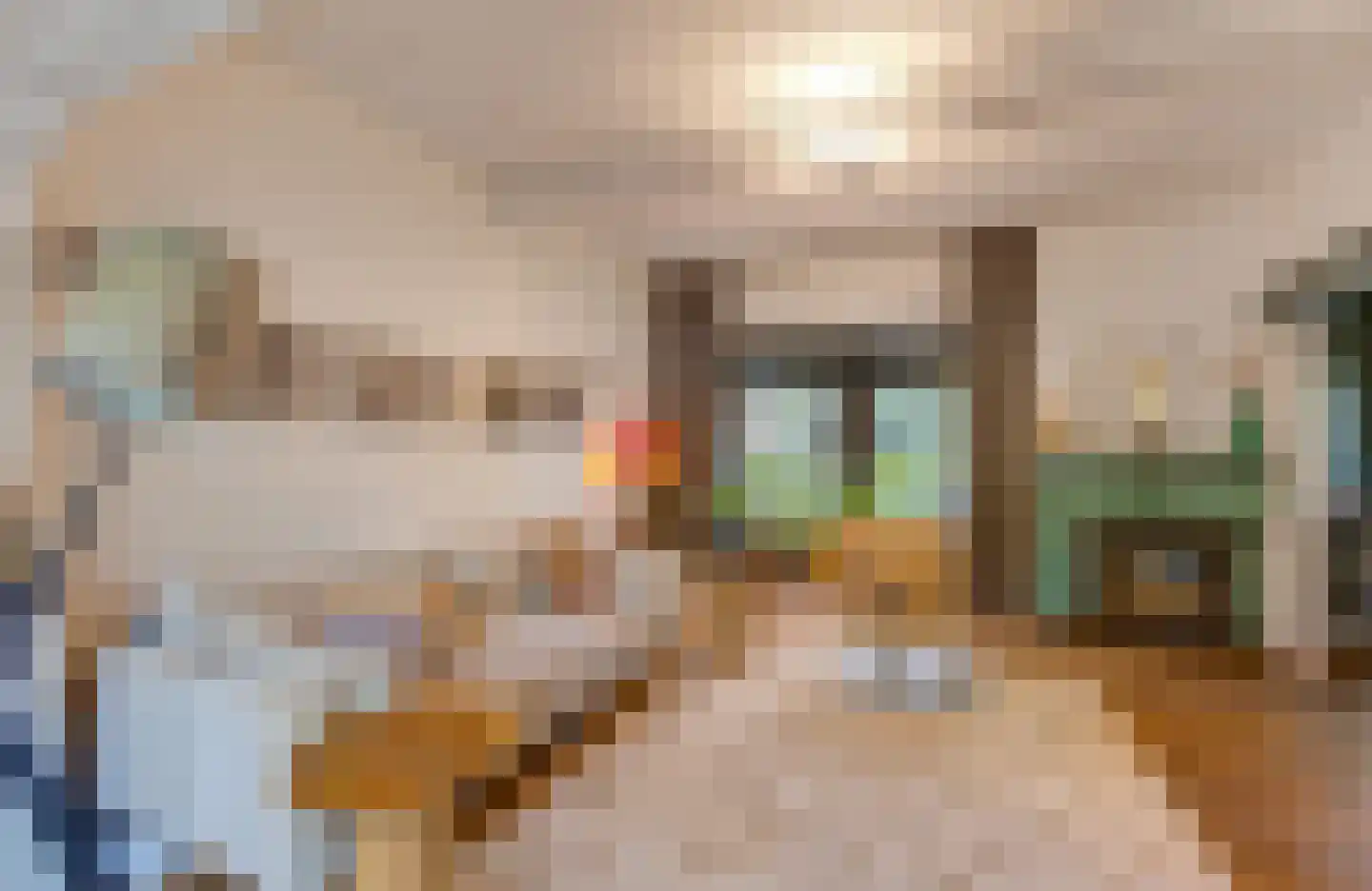 Tesselschadelaan 3 Bussum thumbnail 12