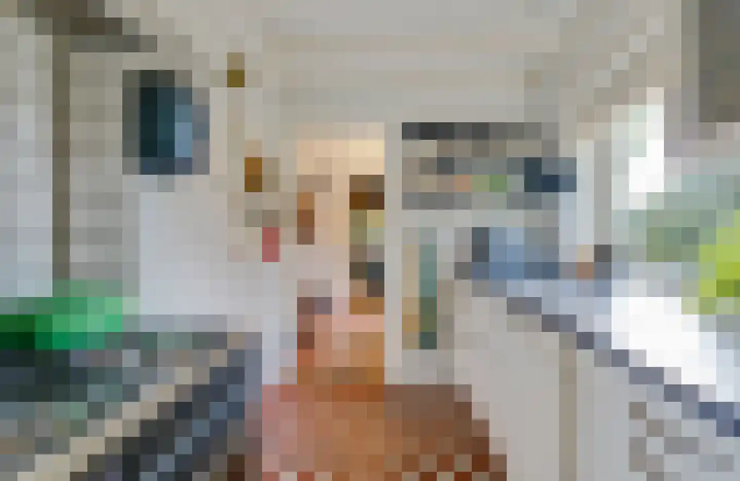 Tesselschadelaan 3 Bussum thumbnail 22