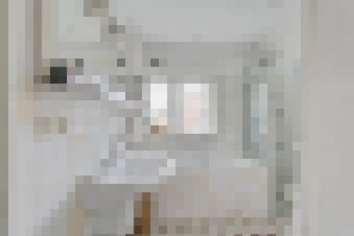 Tesselschadelaan 3 Bussum thumbnail 32