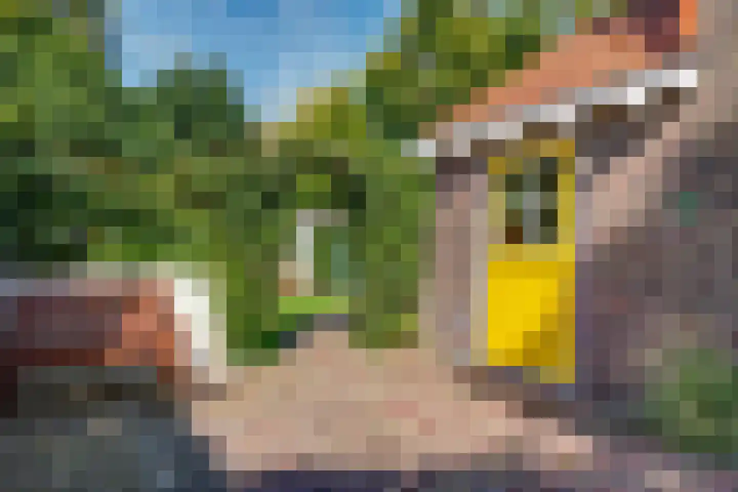 Tesselschadelaan 3 Bussum thumbnail 34