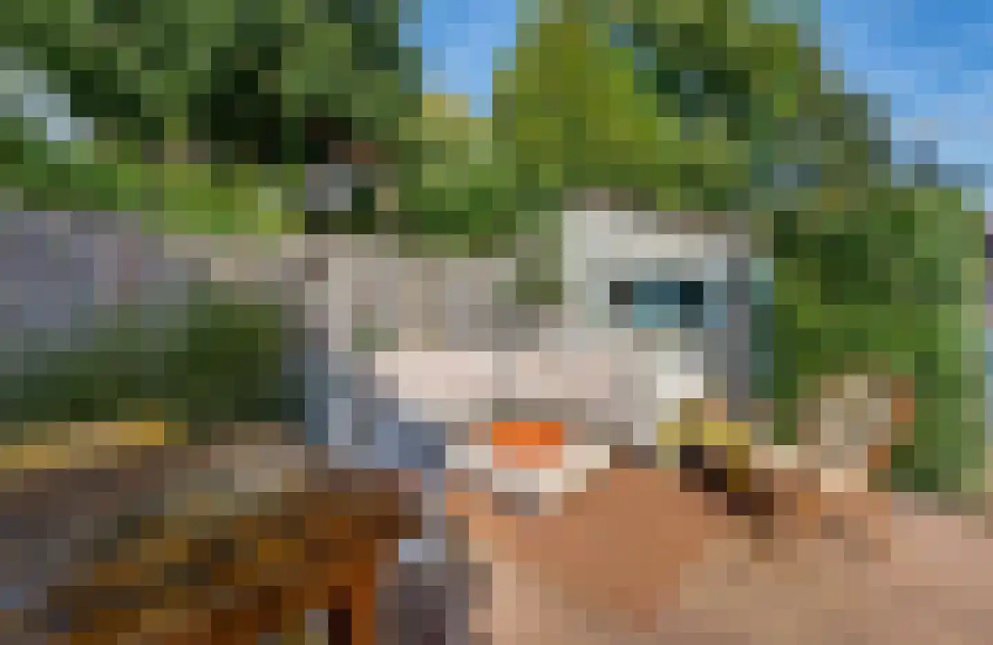 Tesselschadelaan 3 Bussum thumbnail 39