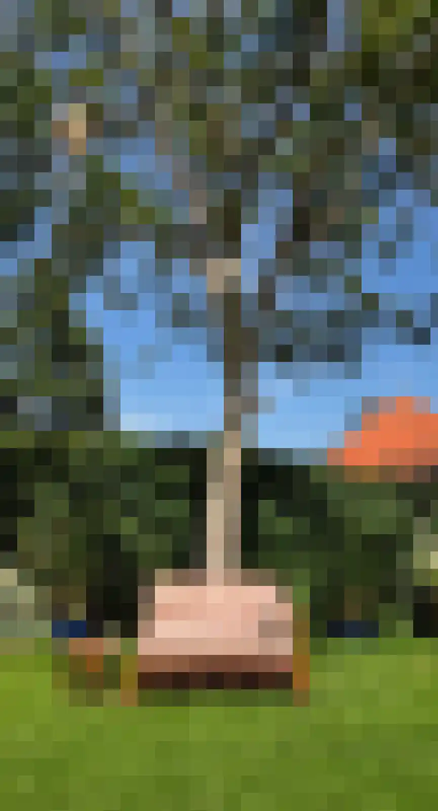 Tesselschadelaan 3 Bussum thumbnail 43