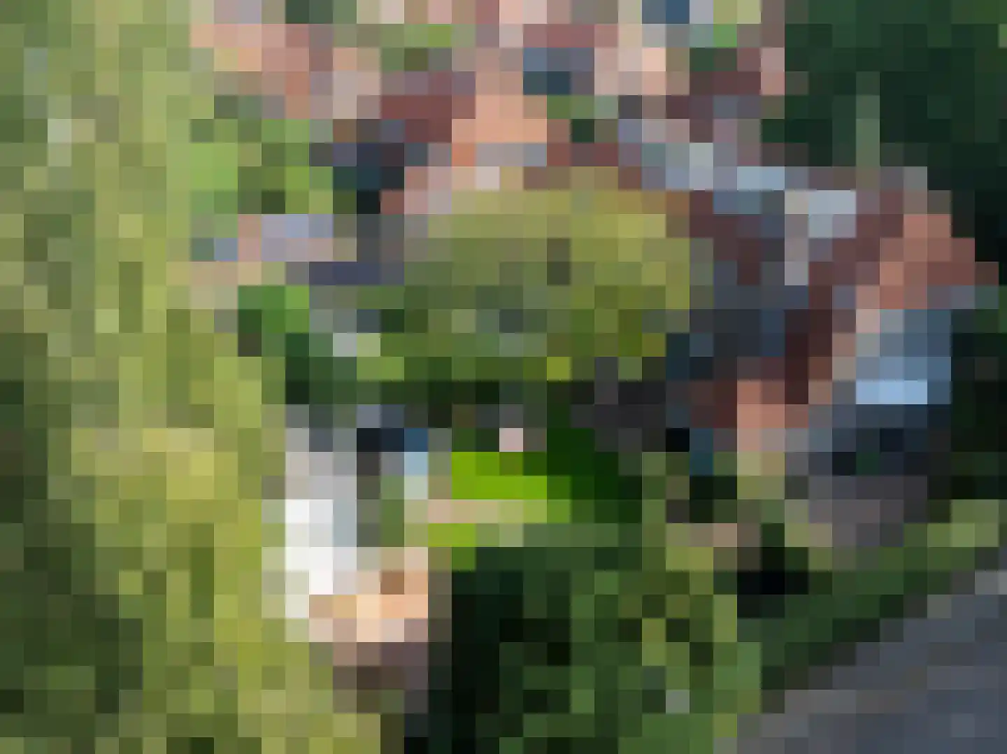 Tesselschadelaan 3 Bussum thumbnail 46