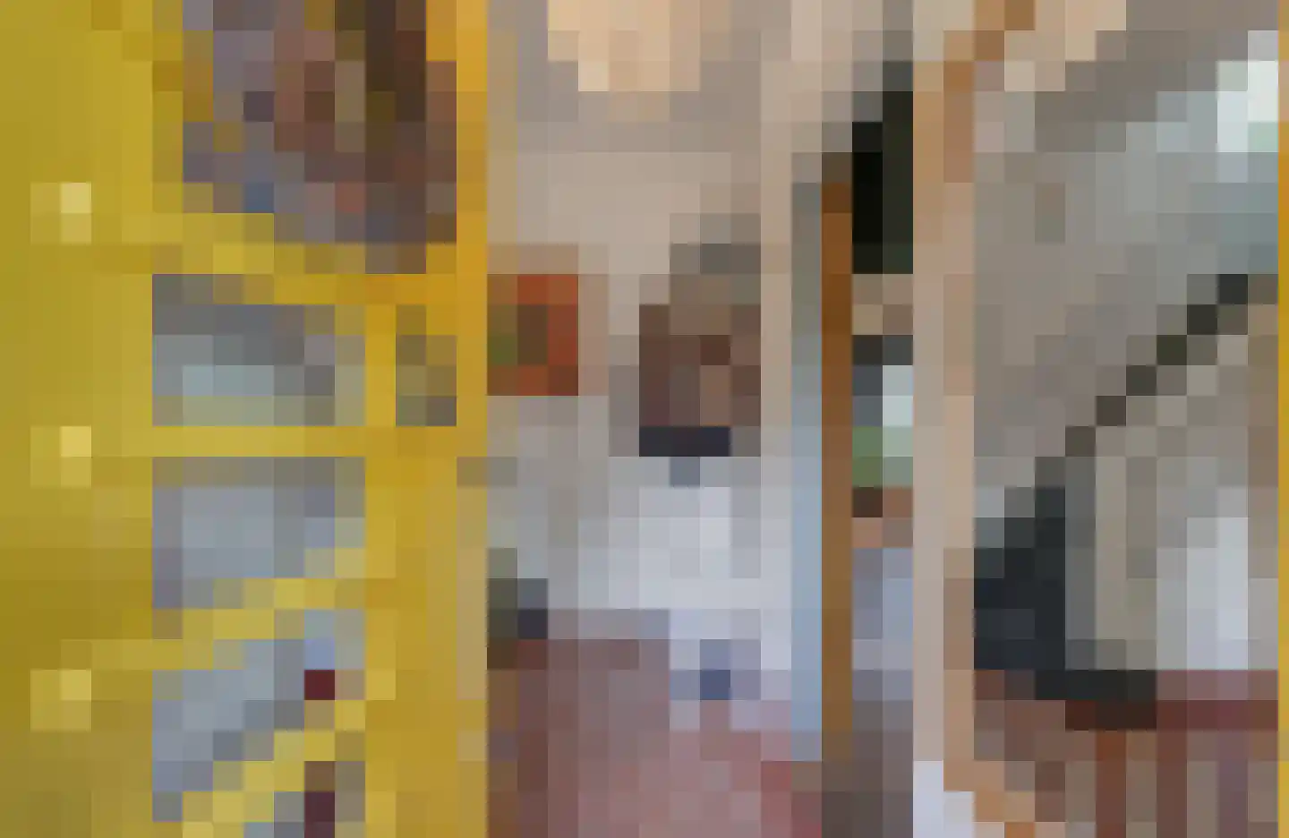 Tesselschadelaan 3 Bussum thumbnail 6