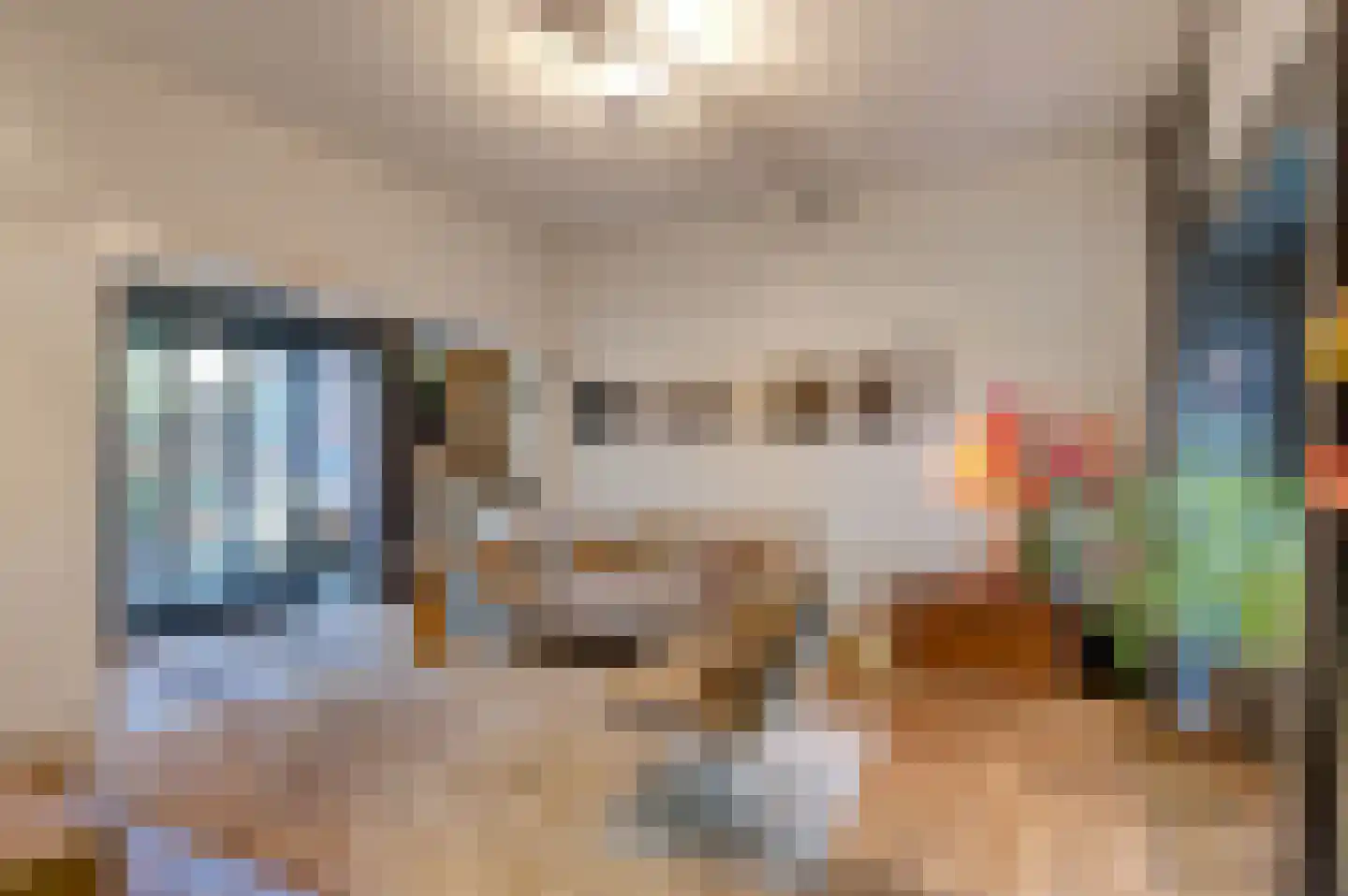 Tesselschadelaan 3 Bussum thumbnail 7