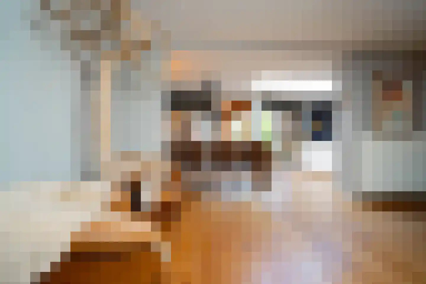 Tesselschadelaan 3 Helmond thumbnail 18