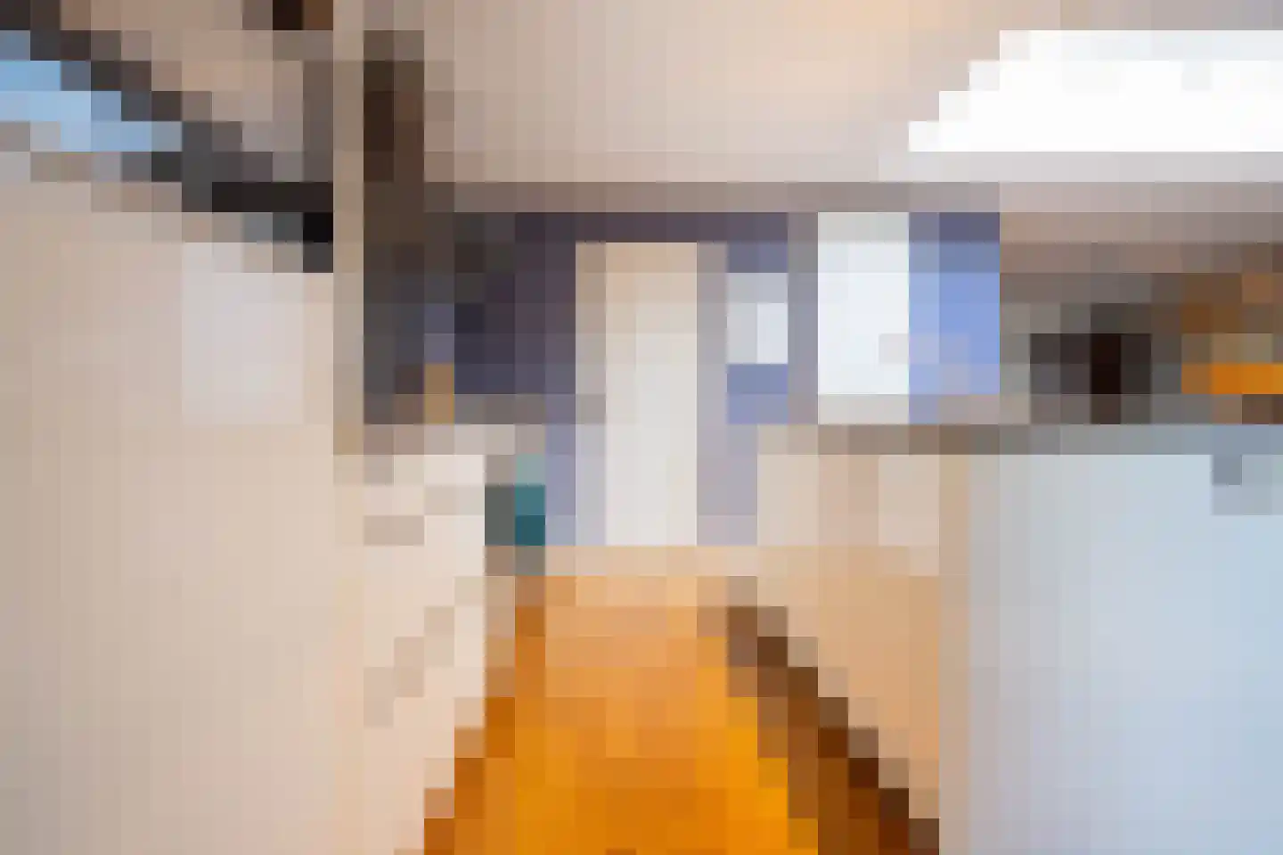 Tesselschadelaan 3 Helmond thumbnail 24