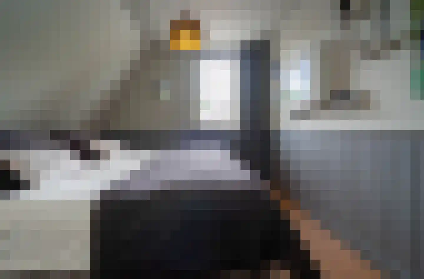 Tesselschadelaan 3 Helmond thumbnail 31