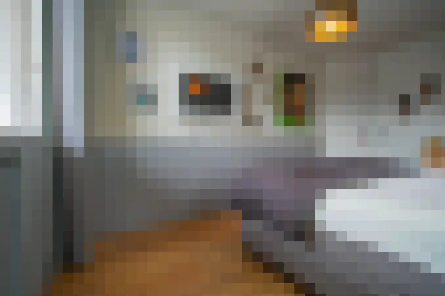 Tesselschadelaan 3 Helmond thumbnail 32