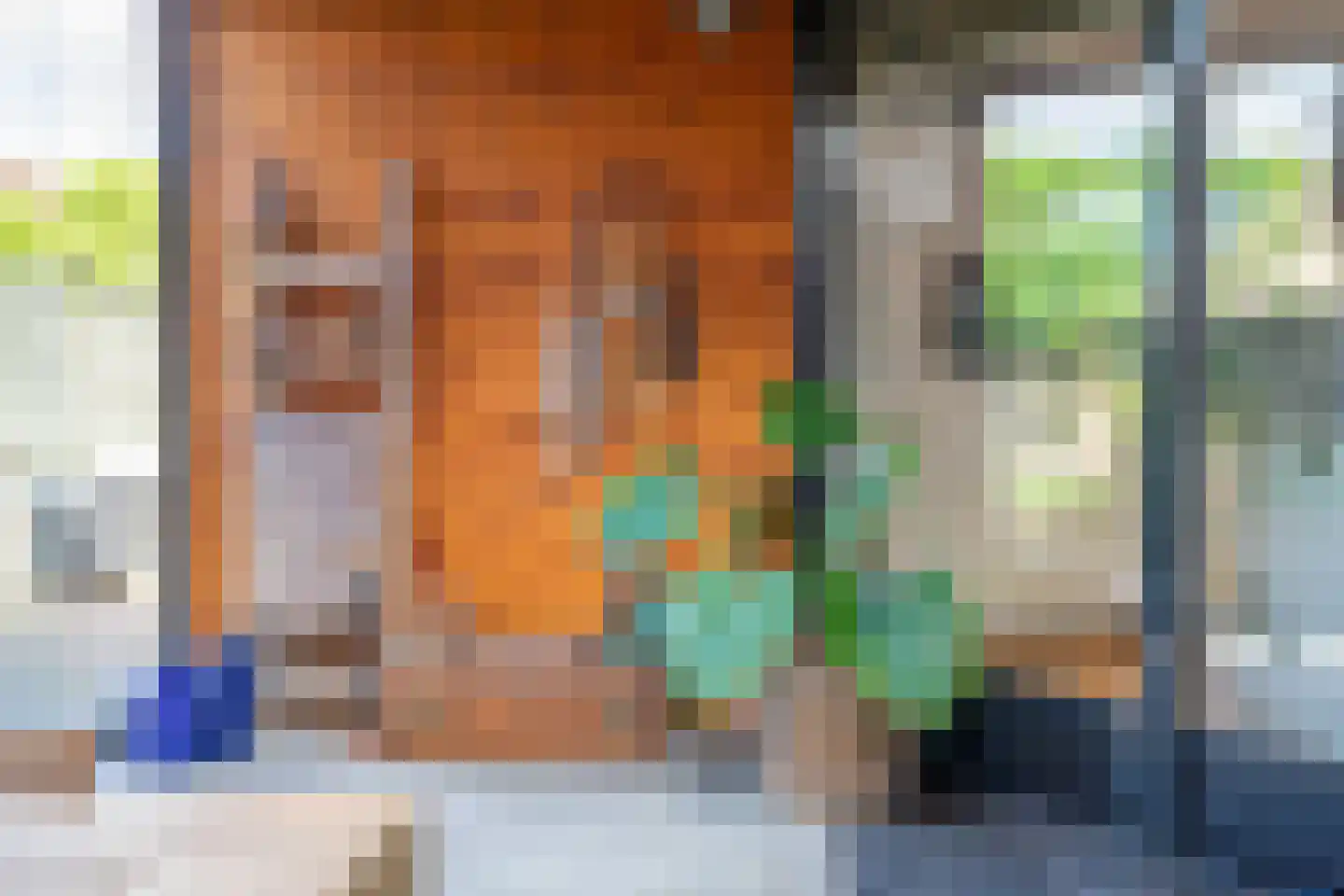 Tesselschadelaan 3 Helmond thumbnail 47