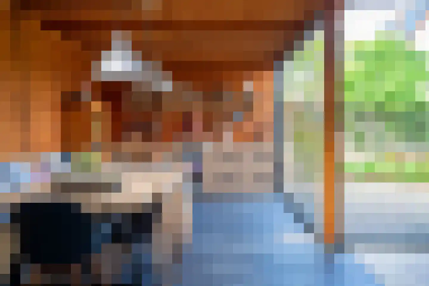 Tesselschadelaan 3 Helmond thumbnail 49