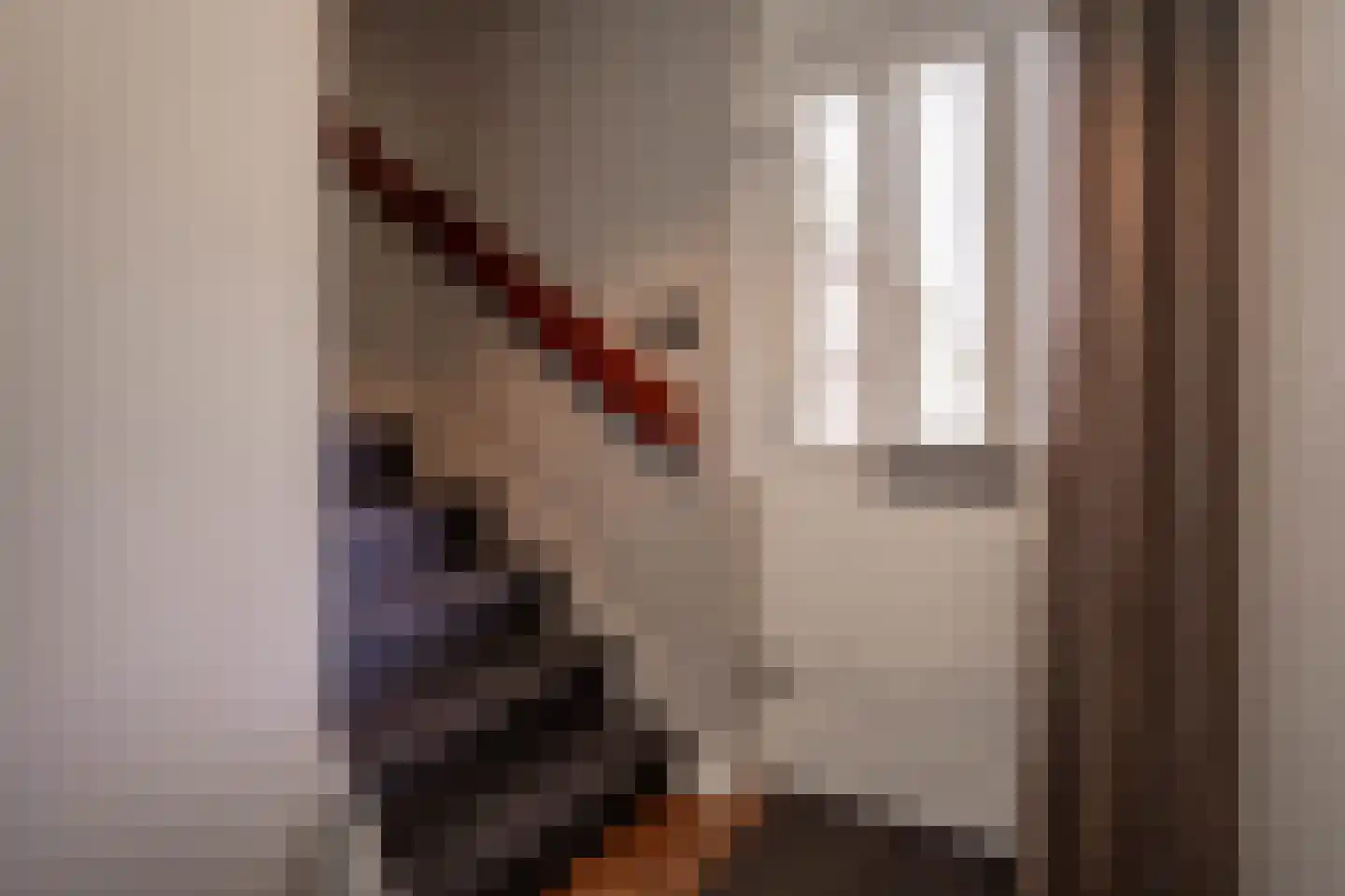 Tesselschadelaan 3 Helmond thumbnail 7