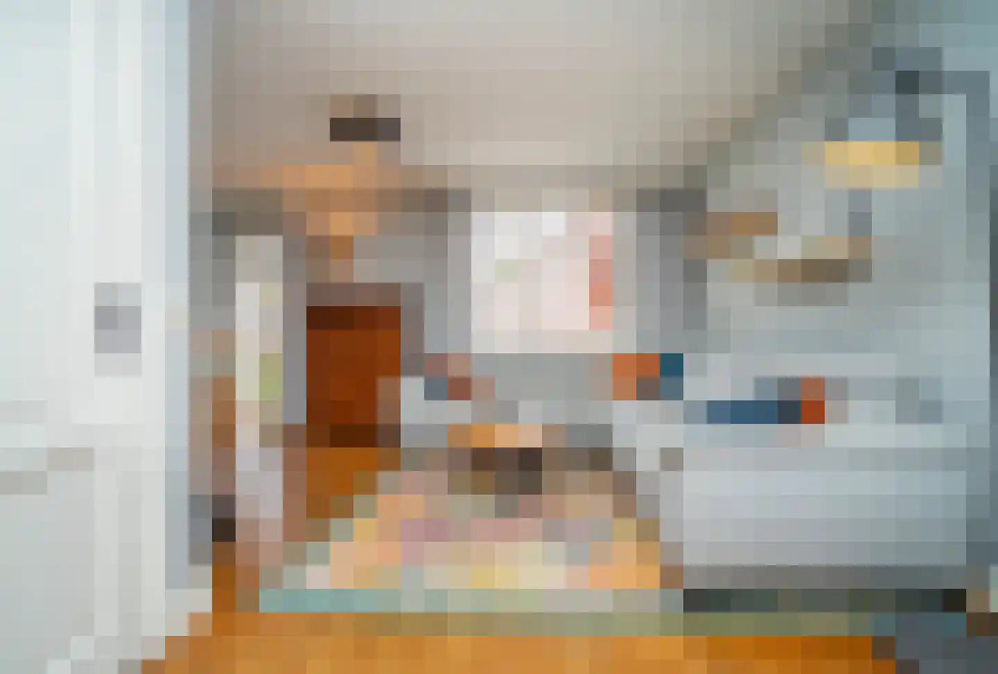 Tesselschadelaan 3 Helmond thumbnail 9