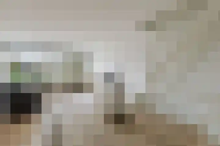 Tesselschadelaan 3 Roosendaal thumbnail 12