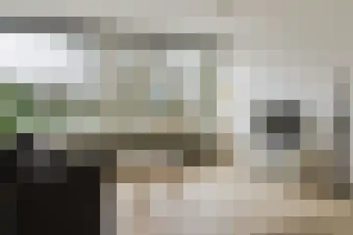 Tesselschadelaan 3 Roosendaal thumbnail 13