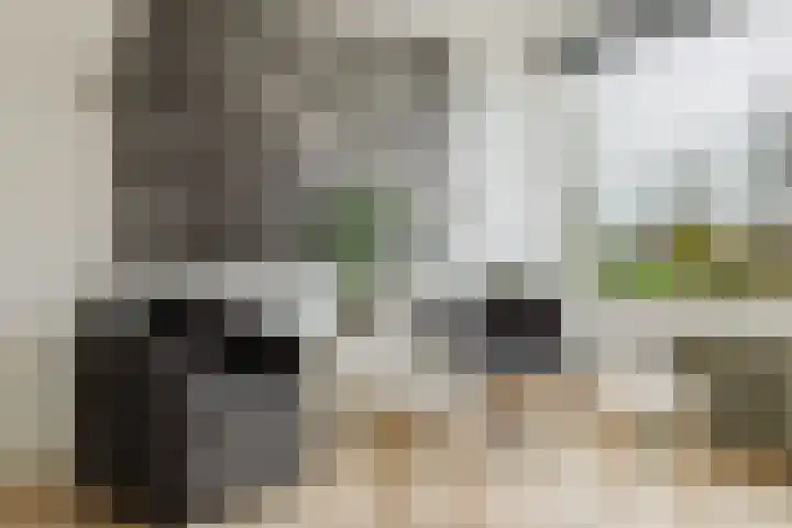 Tesselschadelaan 3 Roosendaal thumbnail 14