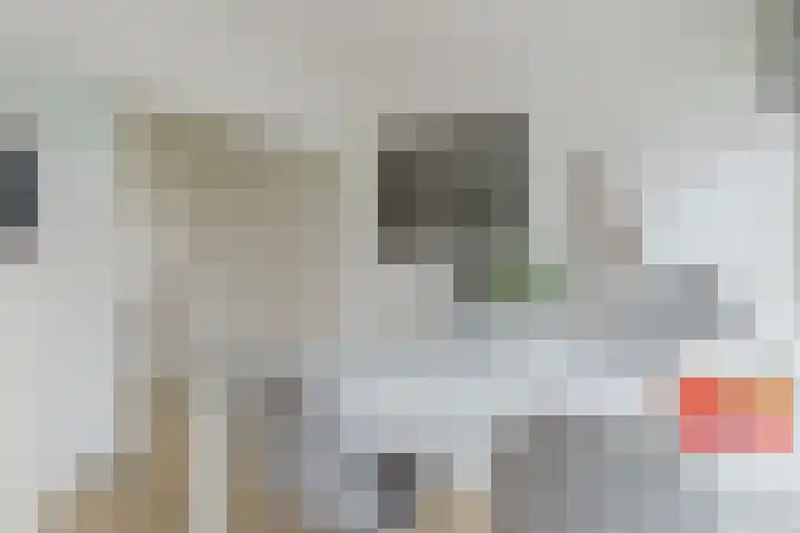 Tesselschadelaan 3 Roosendaal thumbnail 20