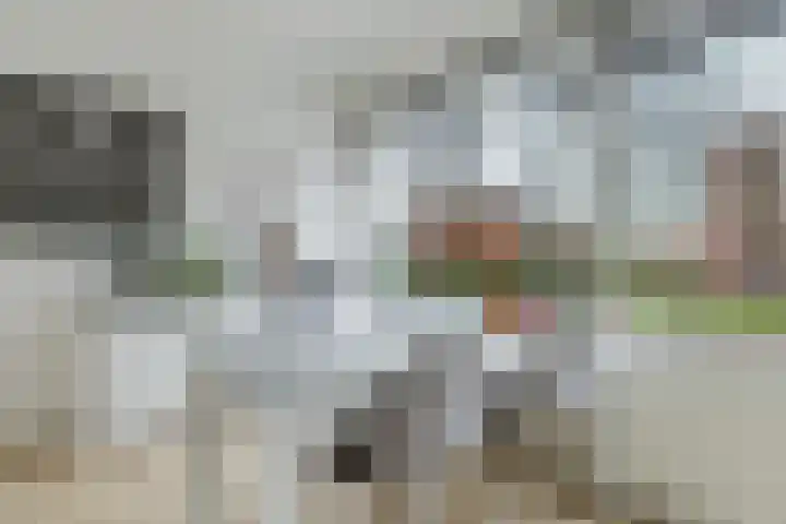 Tesselschadelaan 3 Roosendaal thumbnail 21