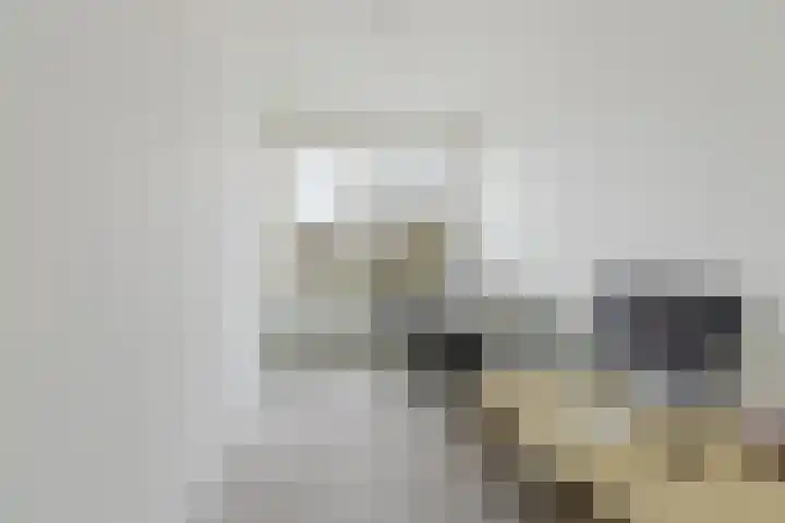 Tesselschadelaan 3 Roosendaal thumbnail 25