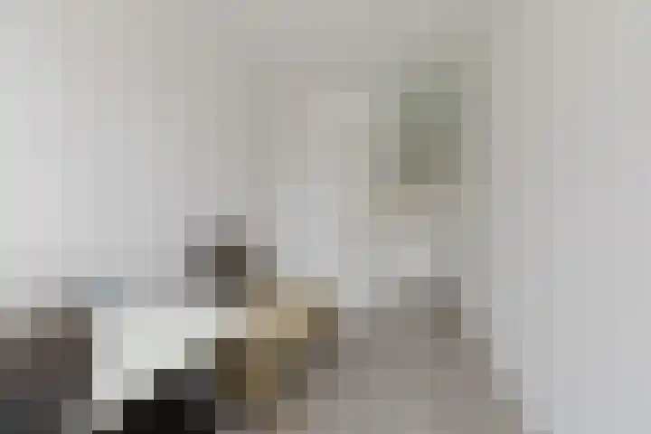 Tesselschadelaan 3 Roosendaal thumbnail 26